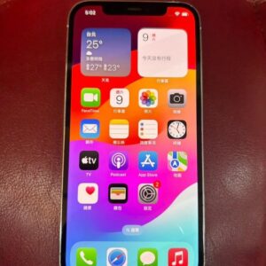 (9.5成新) IPHONE 12 PRO 256G 銀 二手機