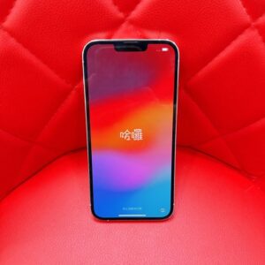 (9成新) iPhone 13 Pro Max 1TB 白色 二手機
